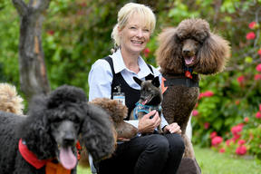 Jody Morrish And Her Therapeutic Dogs