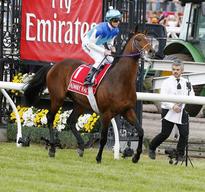 'Protectionist' Wins The 2014 Melbourne Cup