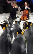 The Melbourne Symphony Orchestra Promotes Frozen Planet in Concert