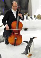 The Melbourne Symphony Orchestra Promotes Frozen Planet in Concert