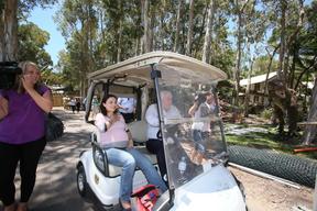 Clive Palmer At His Palmer Coolum Resort