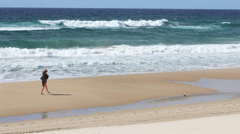 Lone Tourist Ignores Beach Closure At Surfers Paradise