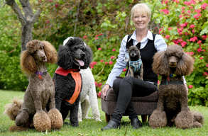Jody Morrish And Her Therapeutic Dogs