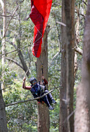 Paraglider Entangled In Trees At Stanwell Tops