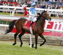 'Protectionist' Wins The 2014 Melbourne Cup
