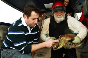 Scientists Examine Moreton Bay Turtle Population