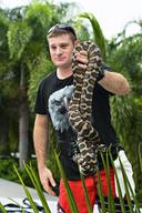 Monty The Python Rescued From Coconut Tree
